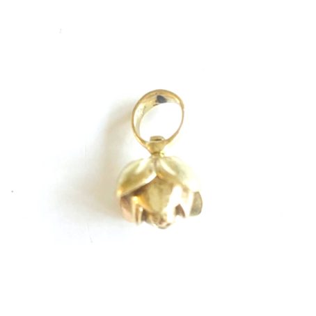 Rose bud / Charm / Holland